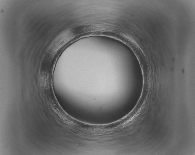 X0000067360873200604071413