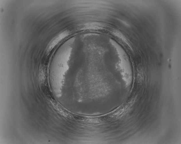 X0000067360874200604071413