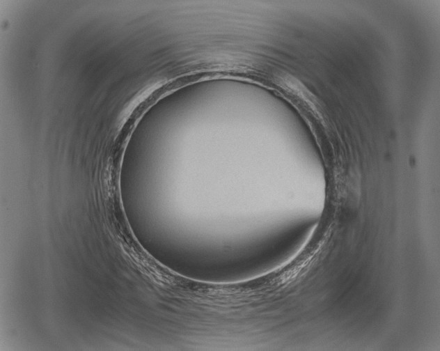 X0000067360875200604071413