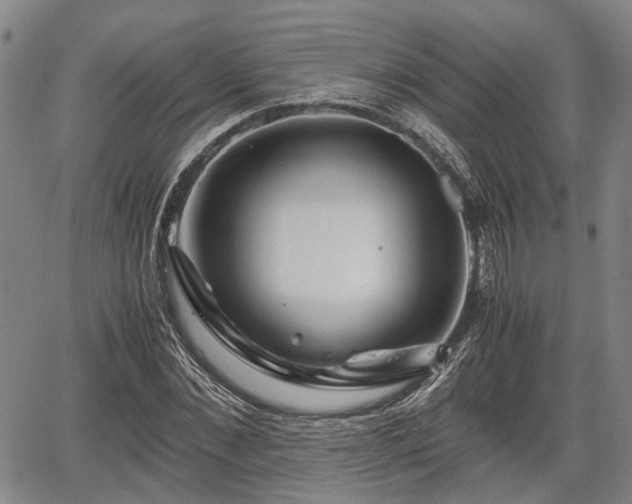 X0000067360876200604071413