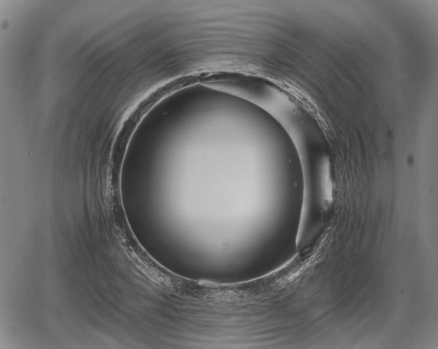 X0000067360880200604071413