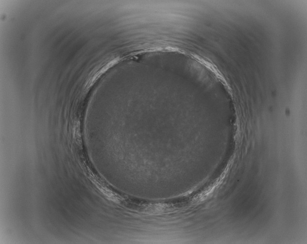 X0000067360881200604071413