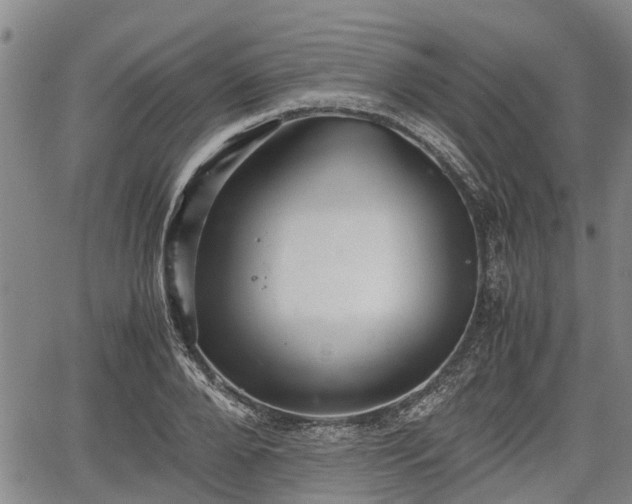 X0000067360888200604071413