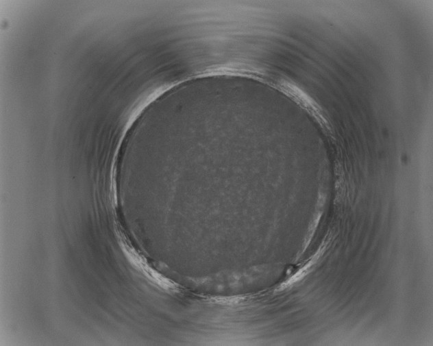 X0000067360892200604071413