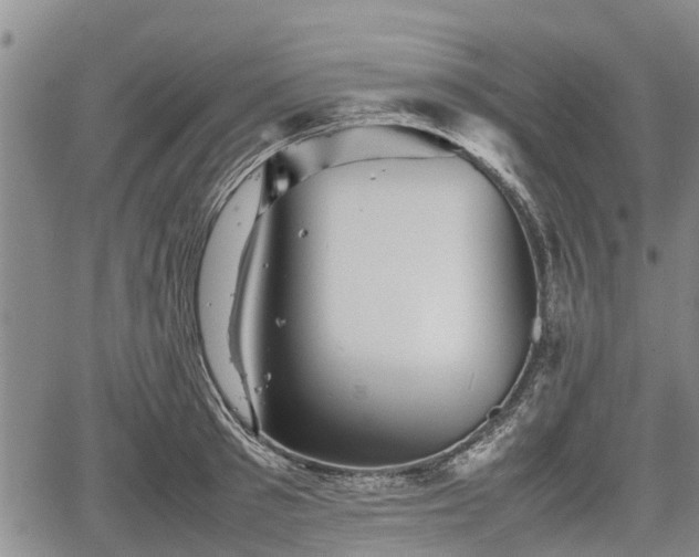 X0000067360897200604071413