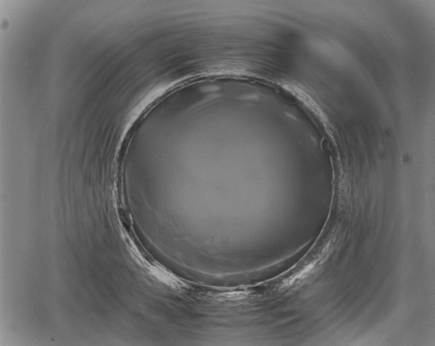 X0000067360941200604071412