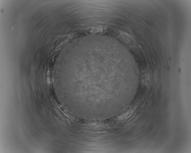 X0000067360962200604071411