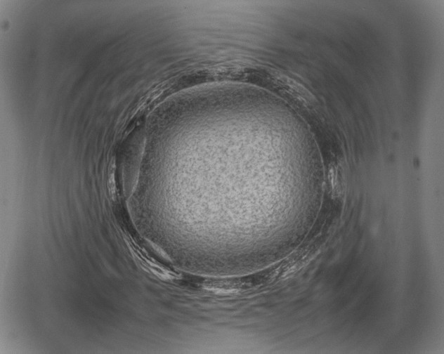X0000067360963200604071411