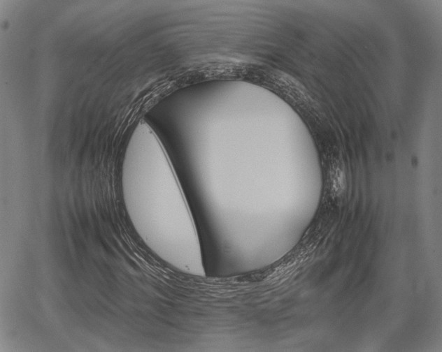 X0000067360964200604071411