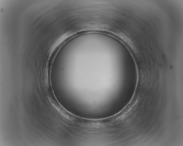 X0000067360982200604071411