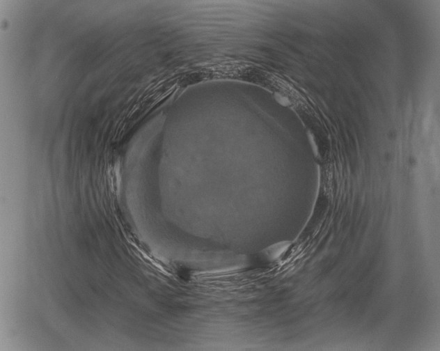 X0000067361010200604071410