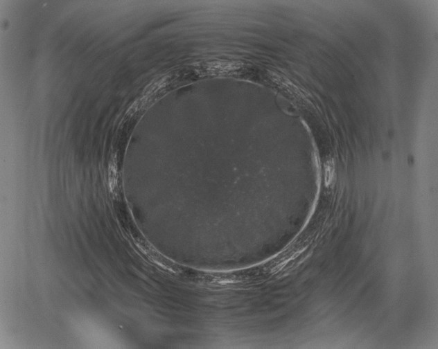 X0000067361011200604071410