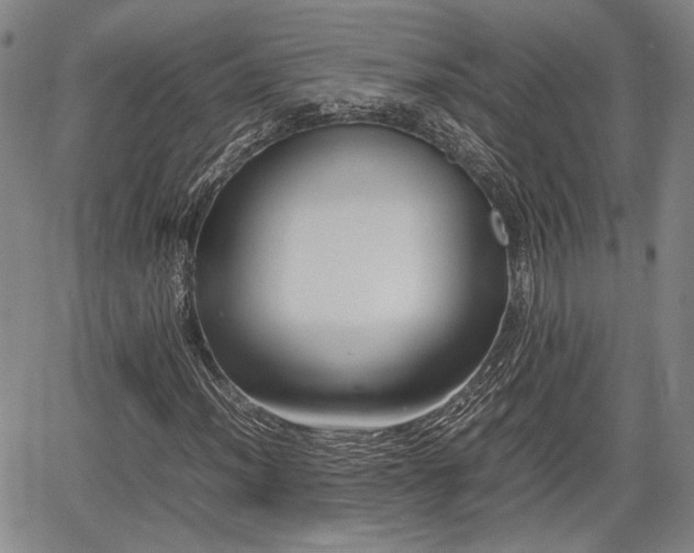 X0000067361012200604071410