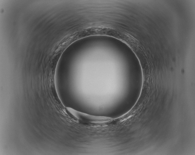 X0000067361014200604071410