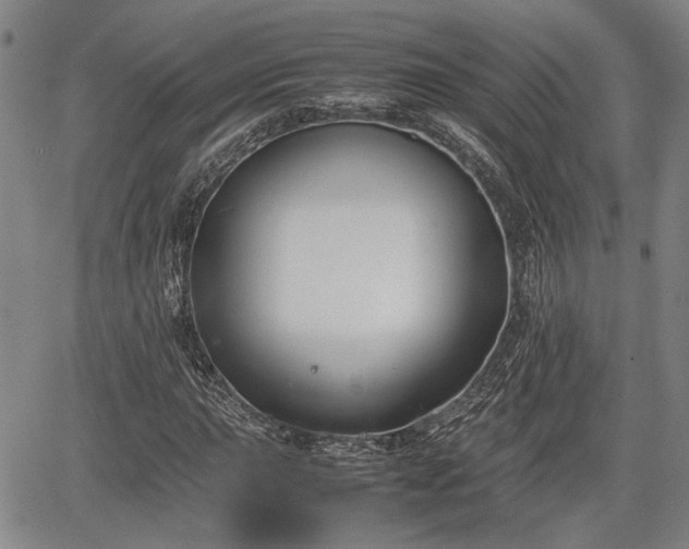 X0000067361015200604071410