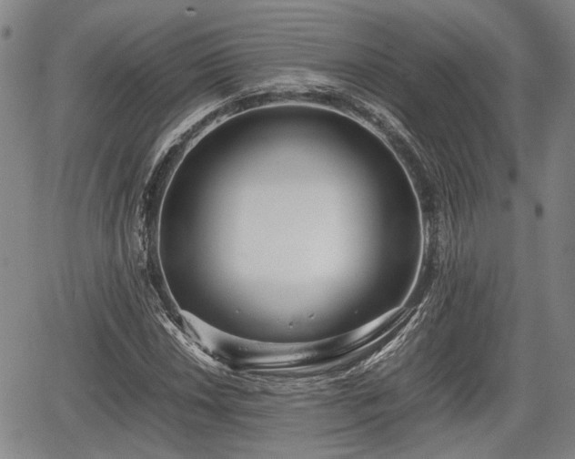 X0000067361018200604071410