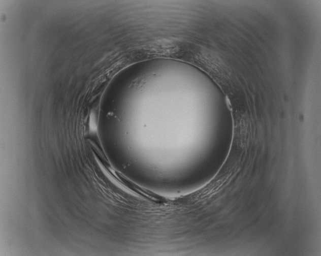 X0000067361058200604071410