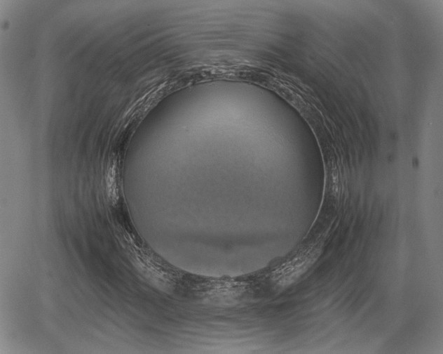 X0000067361060200604071410