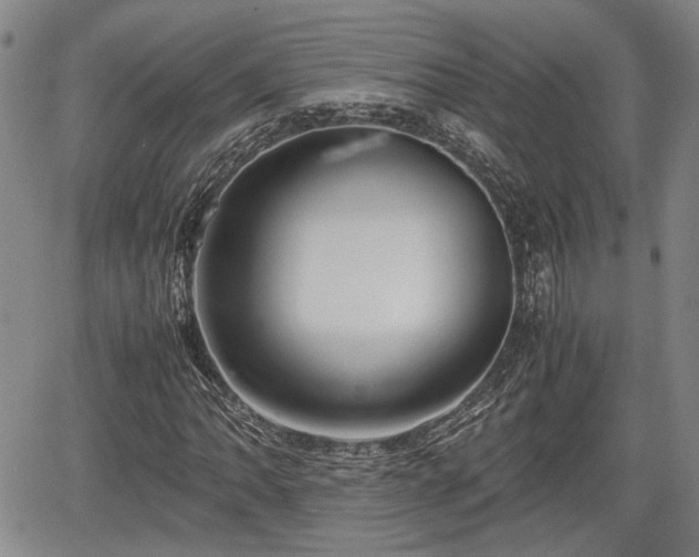 X0000067361062200604071410