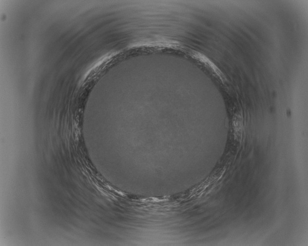 X0000067361064200604071410