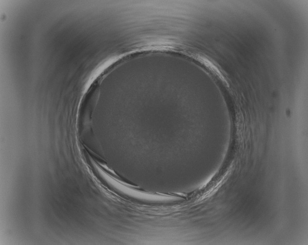 X0000067361077200604071410