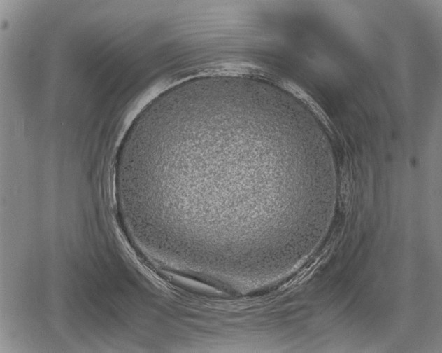 X0000067361083200604071410