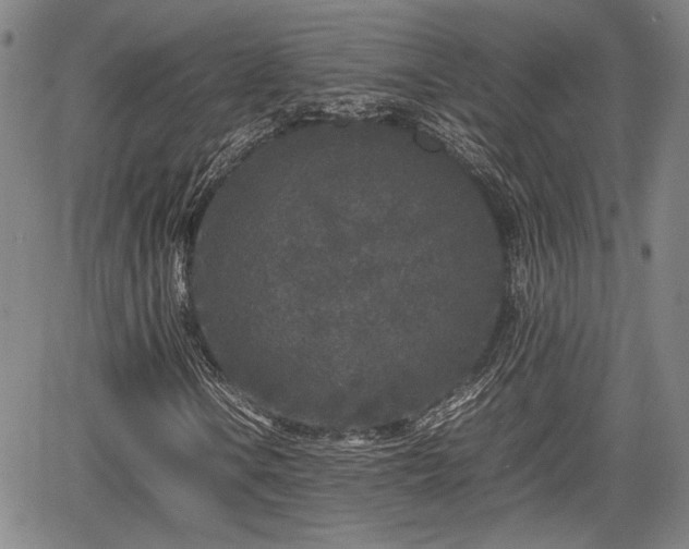 X0000067361106200604071408