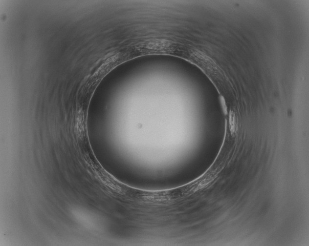 X0000067361107200604071408