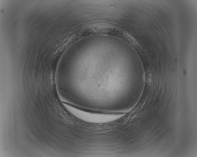 X0000067361108200604071408