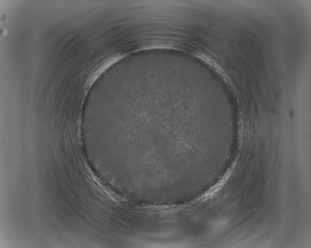 X0000067361121200604071409