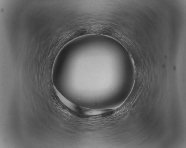 X0000067361153200604071408