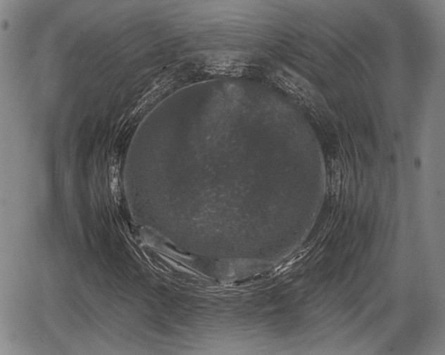 X0000067361154200604071408