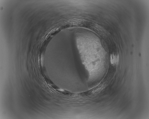 X0000067361155200604071408