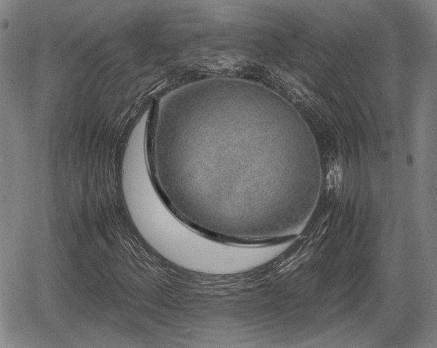X0000067361156200604071408
