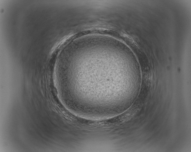 X0000067361159200604071408