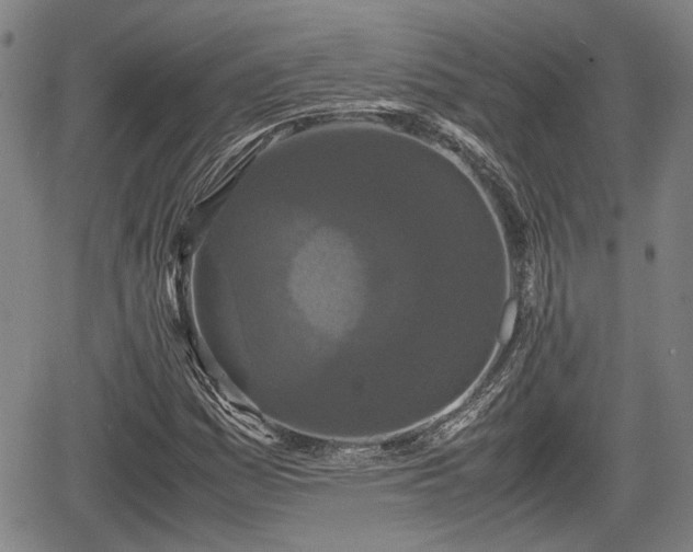 X0000067361161200604071408