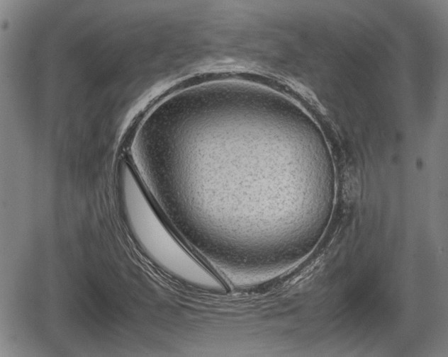 X0000067361167200604071408