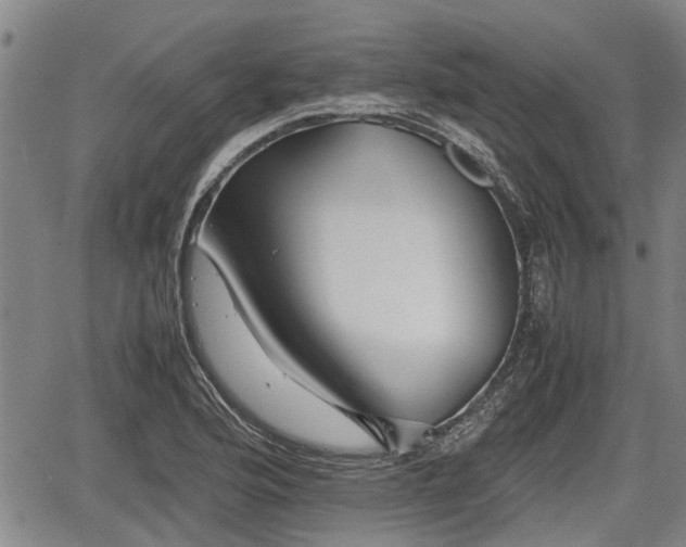 X0000067361176200604071408
