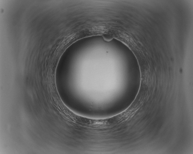 X0000067361201200604071407