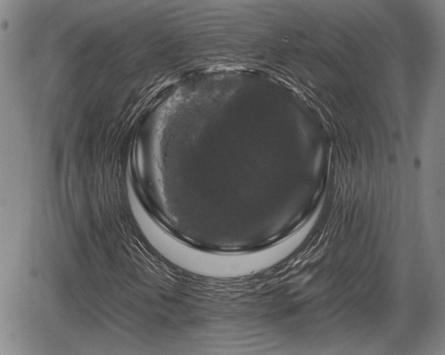 X0000067361202200604071407