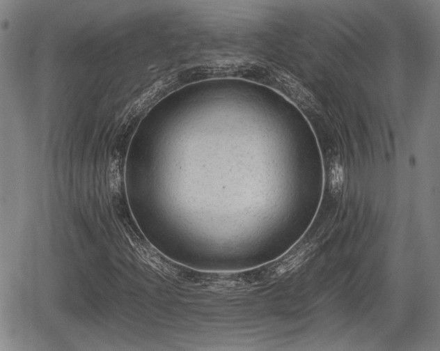 X0000067361204200604071407
