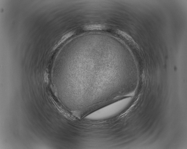 X0000067361209200604071407