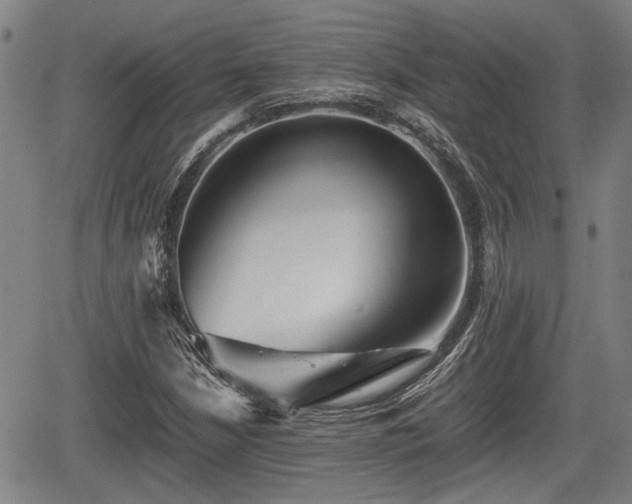 X0000067361210200604071407
