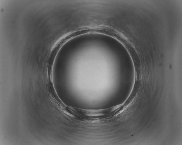 X0000067361214200604071407