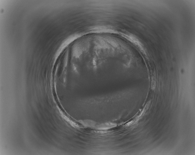 X0000067361231200604071407