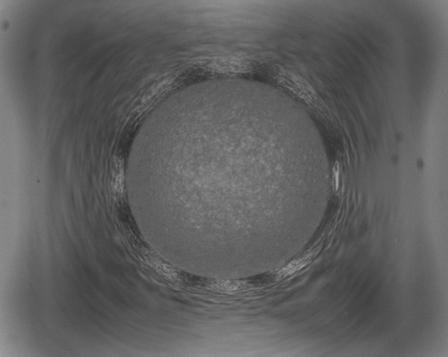 X0000067361251200604071407
