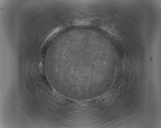 X0000067361254200604071407