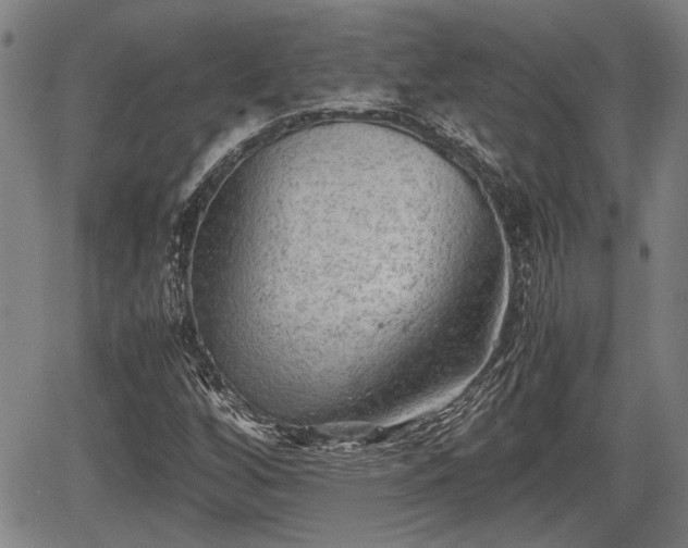 X0000067361256200604071407