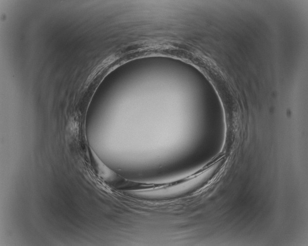 X0000067361257200604071407