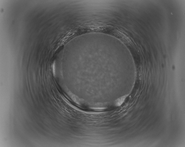 X0000067361298200604071405